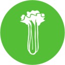 Celery Celery